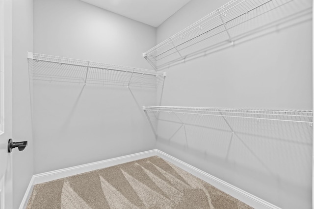 spacious closet with carpet floors