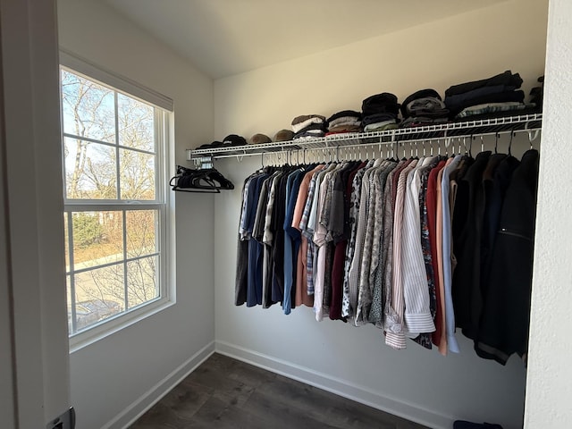 walk in closet featuring dark wood finished floors