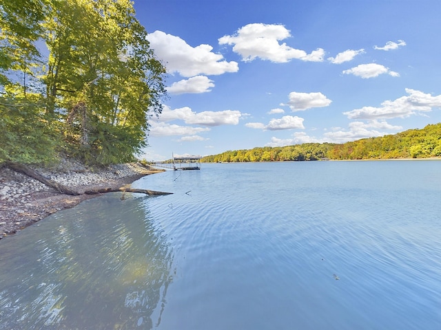 property view of water with a view of trees