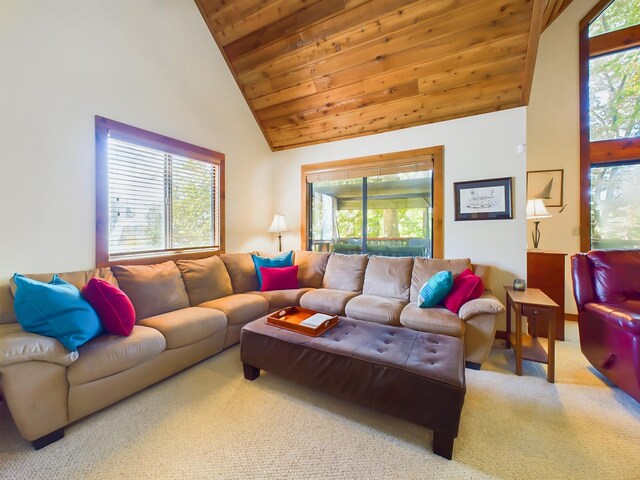 living area featuring wooden ceiling, carpet flooring, and a wealth of natural light