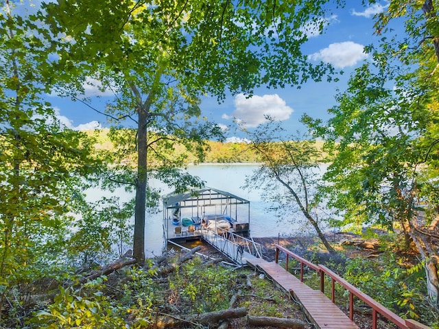 dock area with a water view