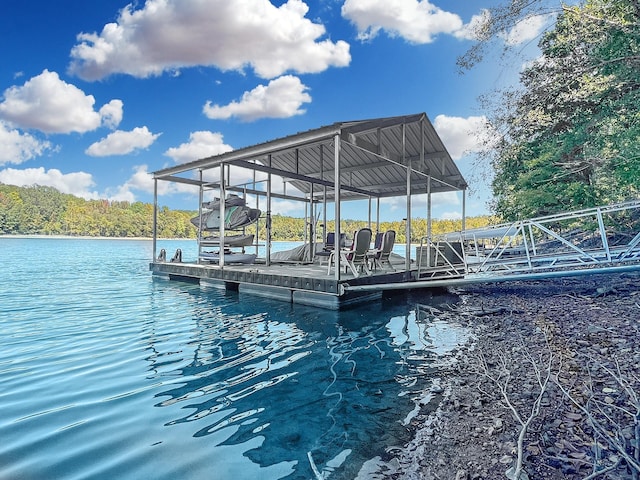 dock area with a water view