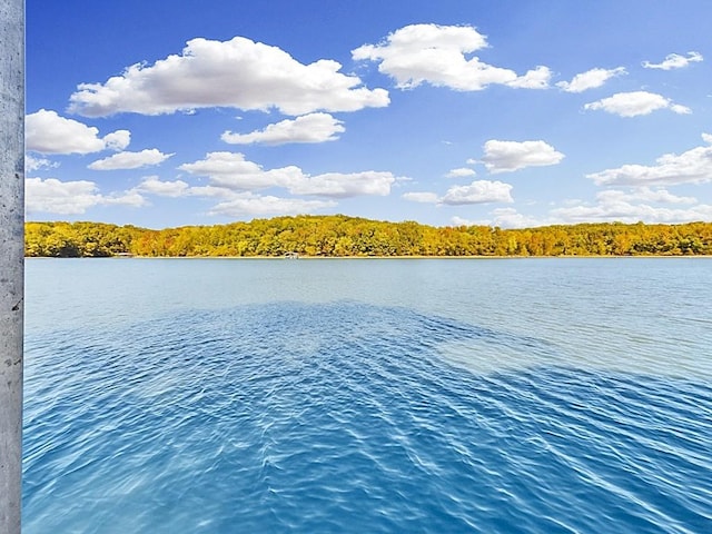 view of water feature with a wooded view