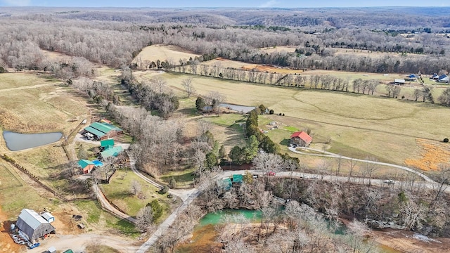 bird's eye view with a wooded view