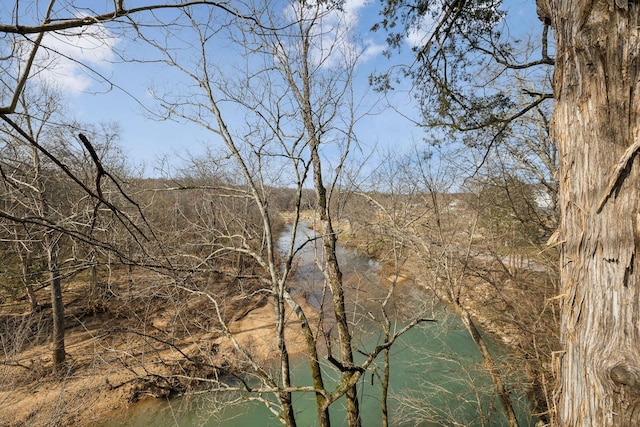 view of water feature