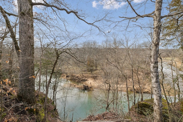 view of water feature with a forest view