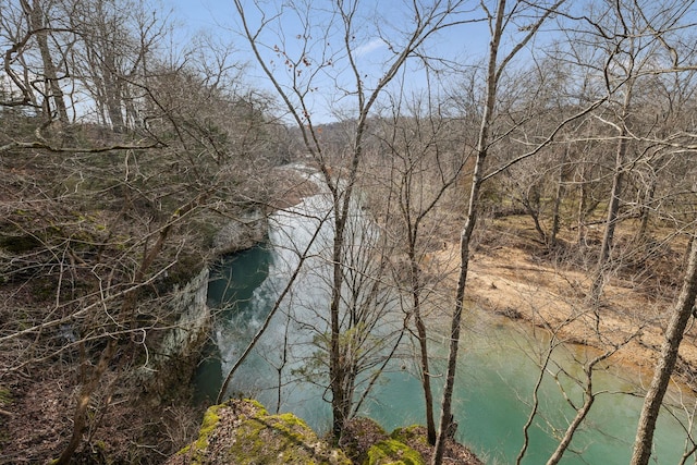 view of water feature featuring a forest view