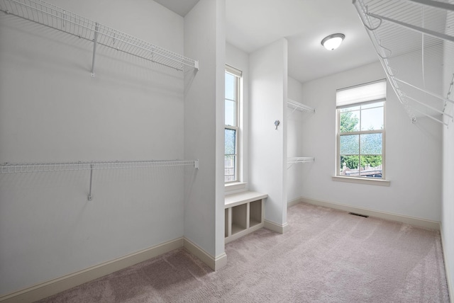 walk in closet with carpet flooring and visible vents