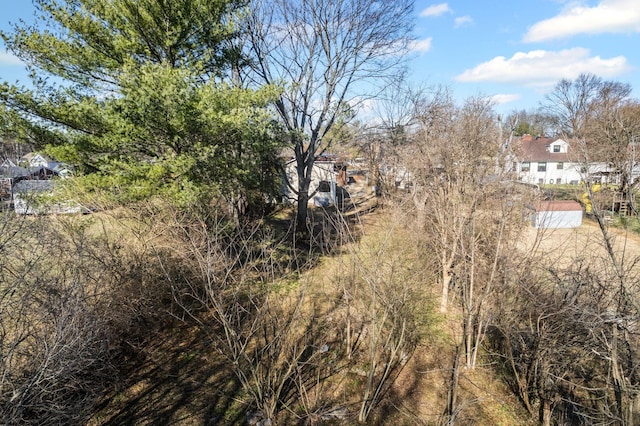 view of local wilderness