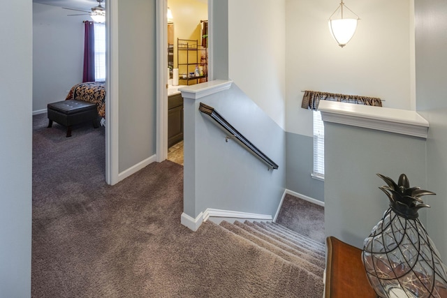 stairs featuring a ceiling fan, carpet, plenty of natural light, and baseboards