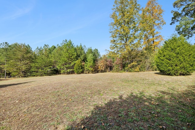 view of yard featuring a wooded view