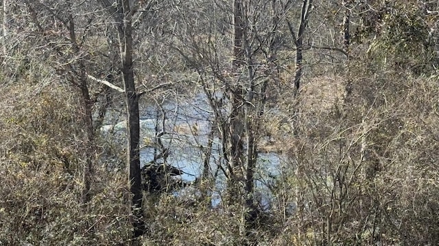 property view of water with a wooded view