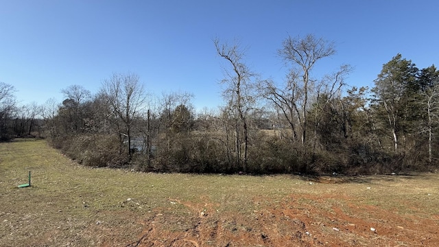 view of local wilderness