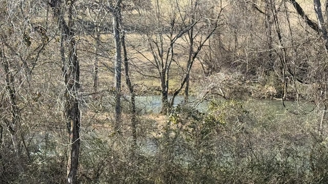 view of nature featuring a water view and a wooded view