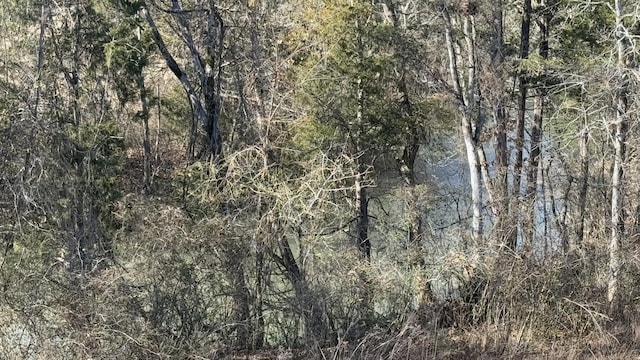 view of nature featuring a forest view