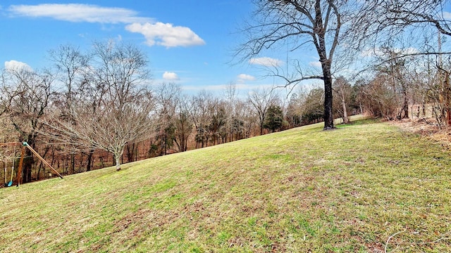 view of yard featuring a view of trees