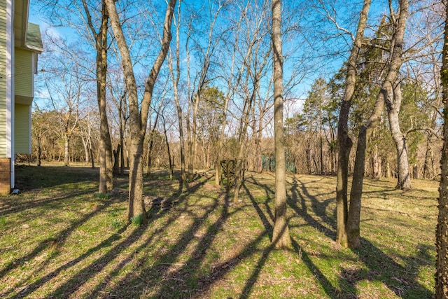 1067 Lakewood Dr, Gallatin, TN 37066 - photo 55