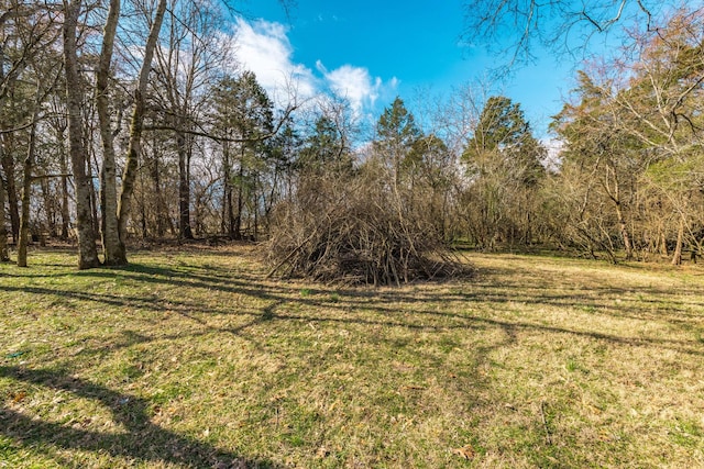 1067 Lakewood Dr, Gallatin, TN 37066 - photo 54