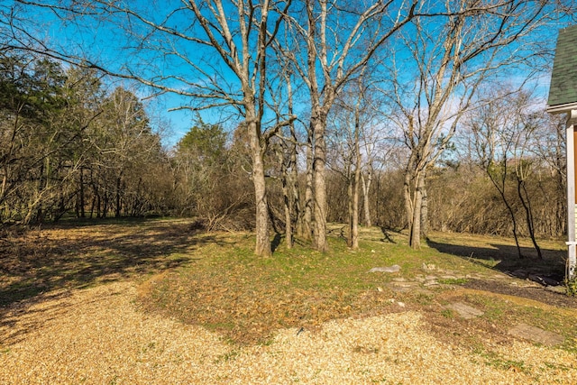 1067 Lakewood Dr, Gallatin, TN 37066 - photo 57