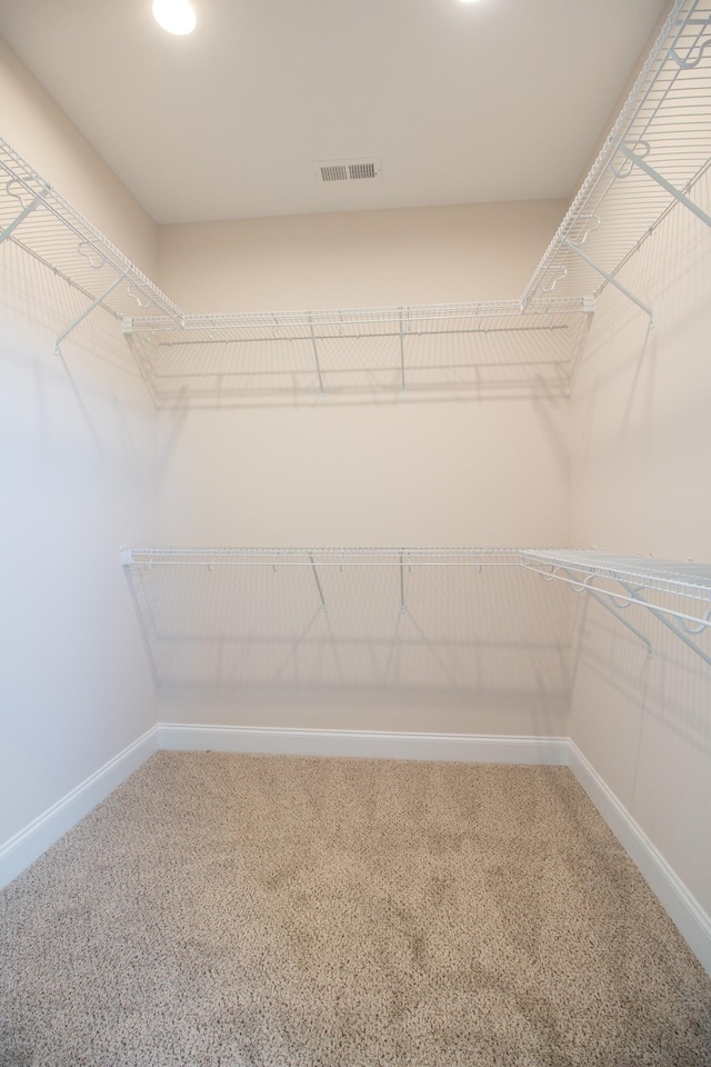 spacious closet featuring visible vents and carpet flooring