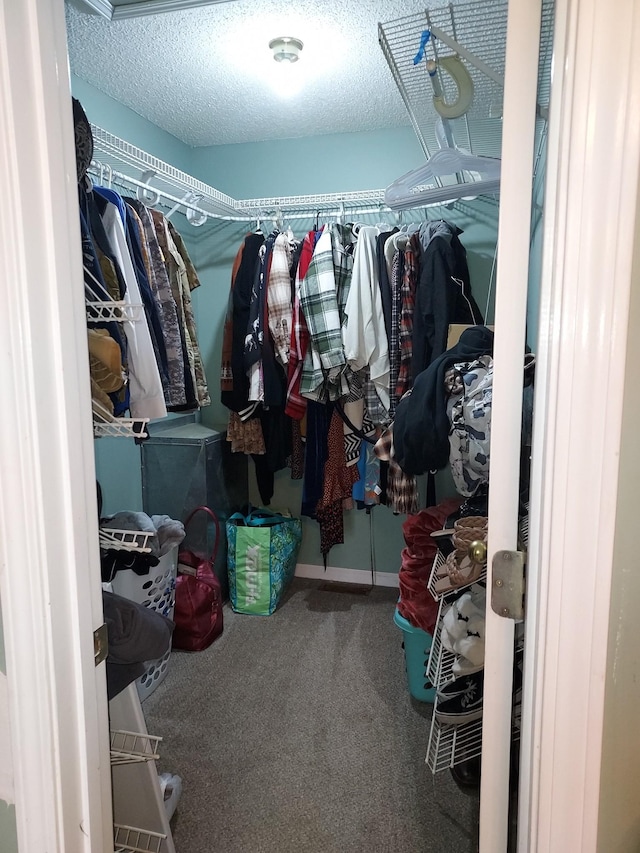 spacious closet with carpet