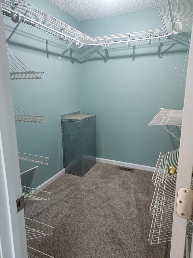 walk in closet with carpet and visible vents