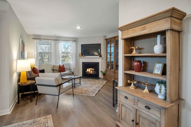 living area with a glass covered fireplace, baseboards, and wood finished floors