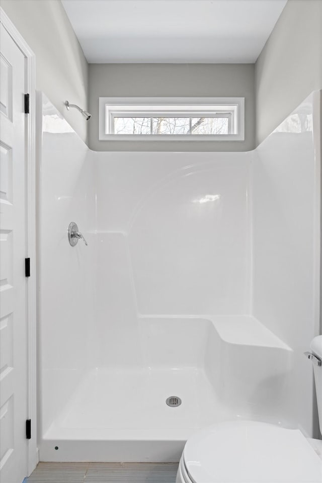 bathroom with plenty of natural light, toilet, and walk in shower