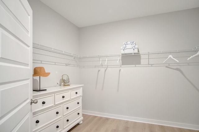 spacious closet featuring light wood-style floors