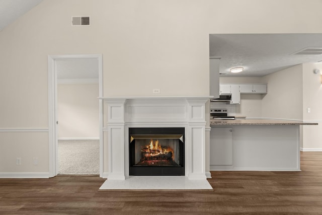 interior details featuring wood finished floors, visible vents, baseboards, a lit fireplace, and stainless steel electric range