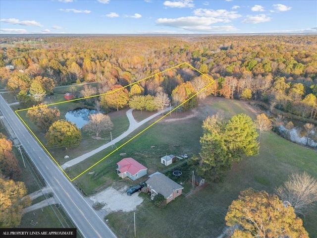 drone / aerial view featuring a view of trees