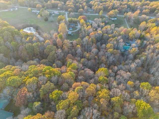 bird's eye view with a forest view