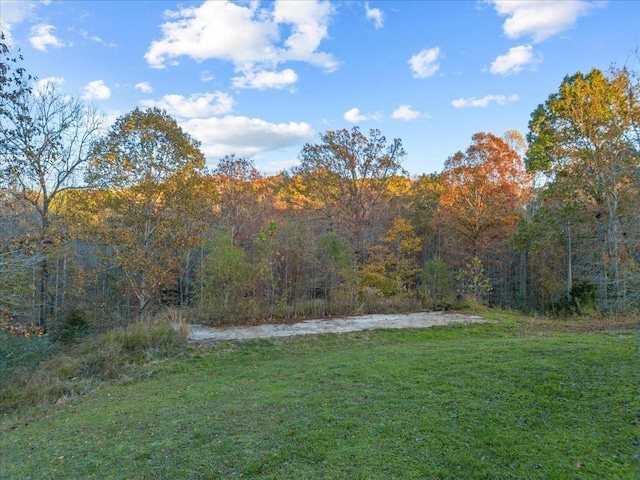 view of yard with a forest view