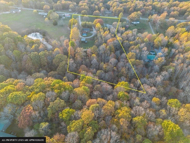 bird's eye view with a view of trees