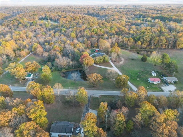 aerial view with a forest view