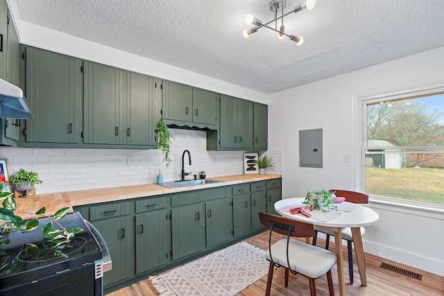 kitchen with visible vents, electric range oven, light wood-type flooring, green cabinets, and a sink