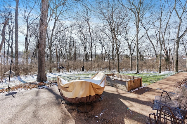 view of patio with a vegetable garden