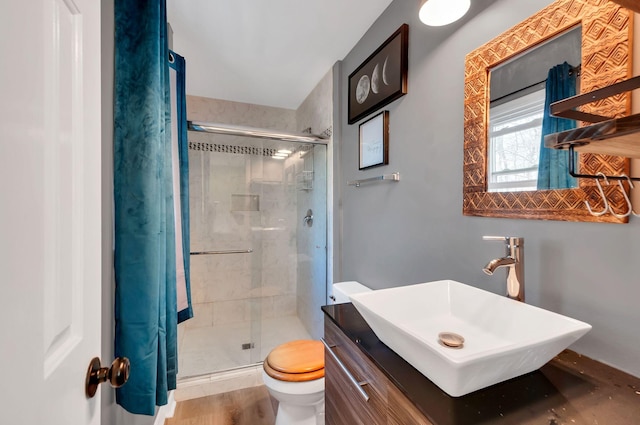 bathroom with toilet, a shower stall, and vanity