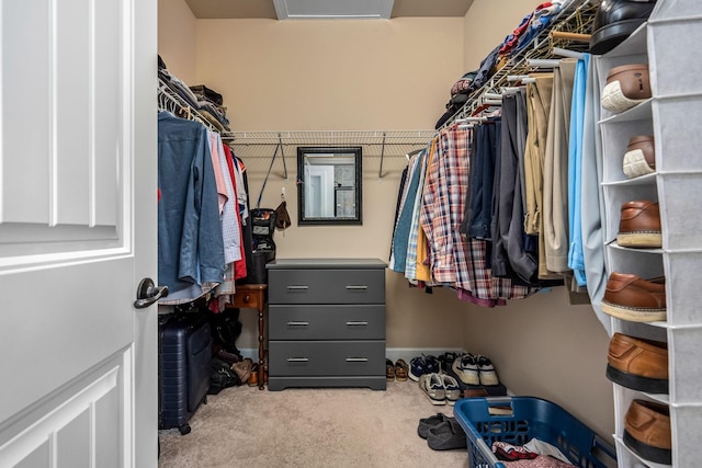 spacious closet with attic access and carpet flooring