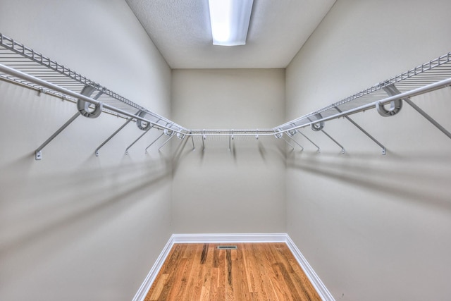 spacious closet with visible vents and light wood-style floors