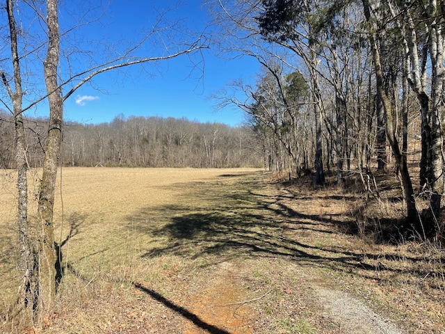 1 Old Clarksville Pike, Chapmansboro TN, 37035 land for sale