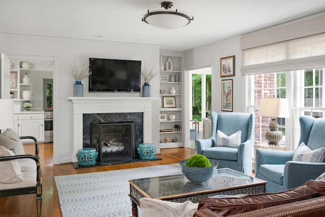 living room featuring a fireplace, wood finished floors, and built in features