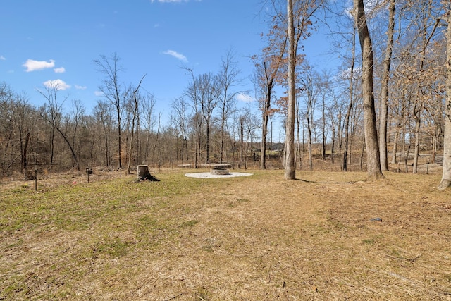 view of yard with an outdoor fire pit