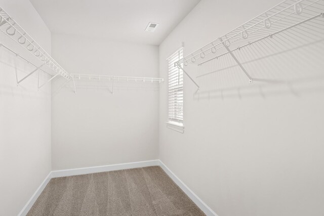 3435 Quintana Dr, Murfreesboro, TN 37127 - photo 17