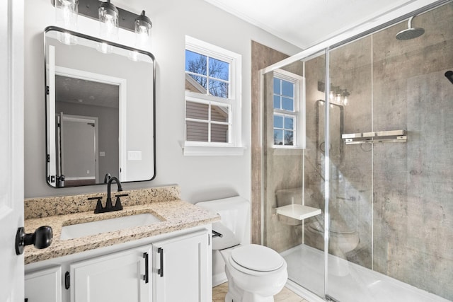 bathroom featuring toilet, a shower stall, and vanity