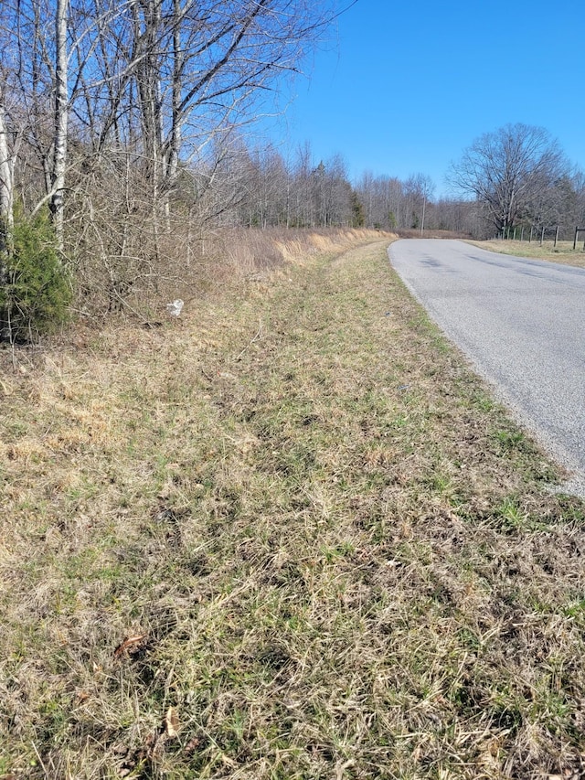 Listing photo 3 for 0 Cowhorne Hollow Rd, Prospect TN 38477