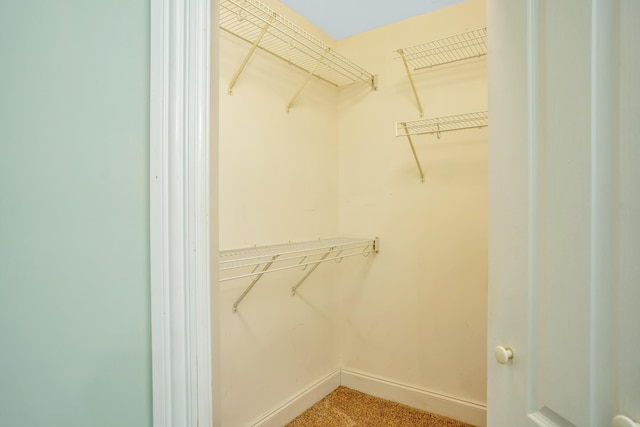 walk in closet with carpet floors