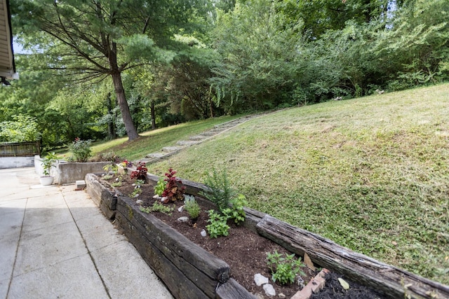 view of yard with a patio