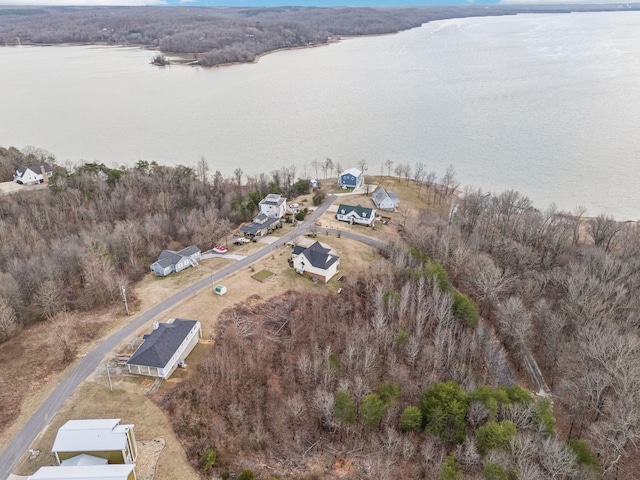 aerial view with a water view and a view of trees