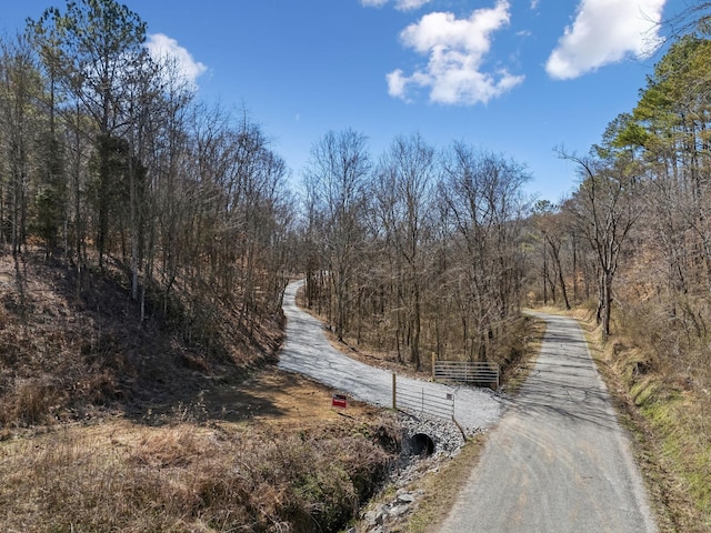 Listing photo 3 for 8771 Dog Branch Rd, Mount Pleasant TN 38474